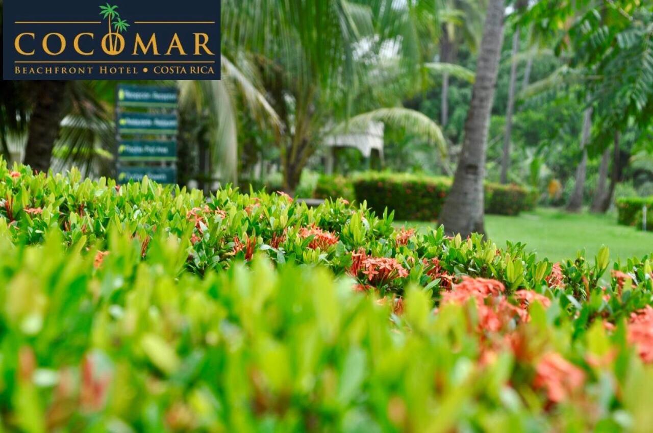 Cocomar Beachfront Hotel Parrita Exteriér fotografie