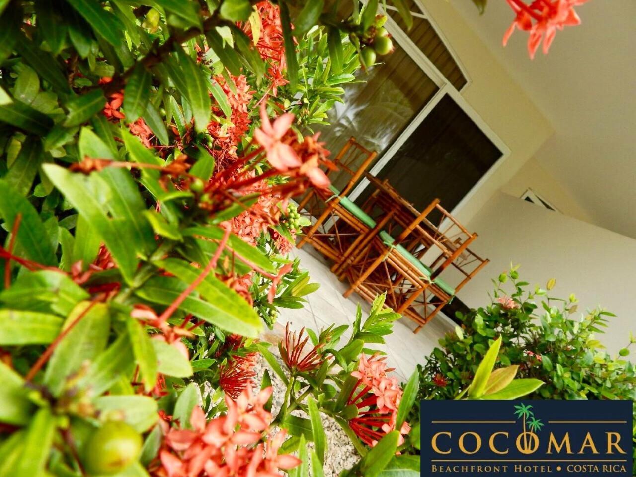Cocomar Beachfront Hotel Parrita Exteriér fotografie