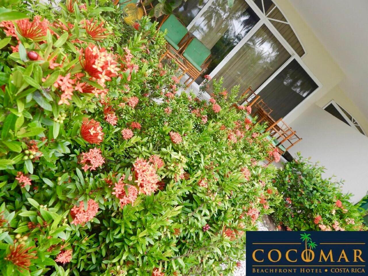 Cocomar Beachfront Hotel Parrita Exteriér fotografie